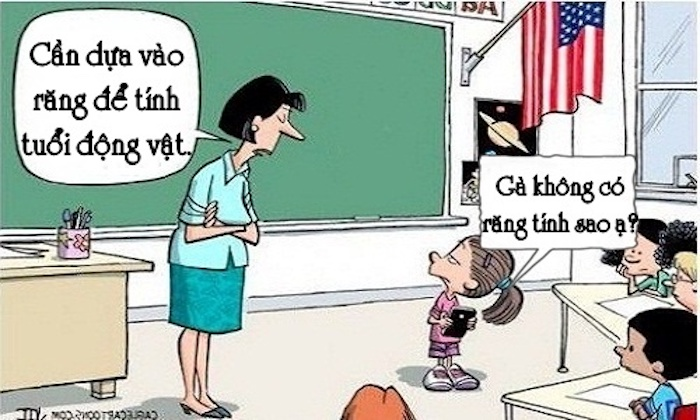 Tính tuổi bằng răng - 1