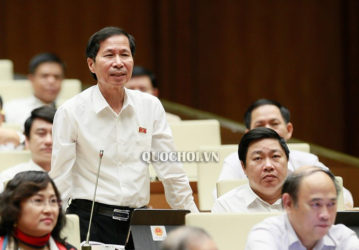 Đại biểu Quốc hội xếp vào hàng gì trong hệ thống cán bộ? - 1