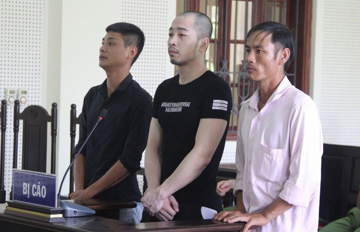 Ba thanh niên Nghệ An vận chuyển gần nửa tấn ma túy giấu trong loa thùng lĩnh án - 2