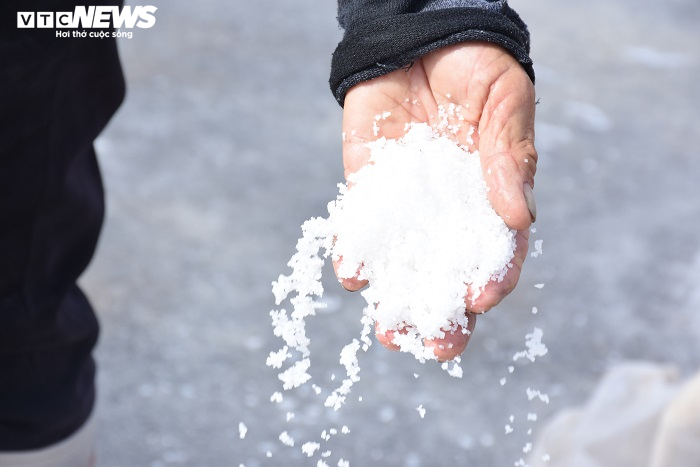 Ảnh: Nhọc nhằn nghề làm muối của diêm dân Thái Bình dưới nắng nóng 40 độ C - 14