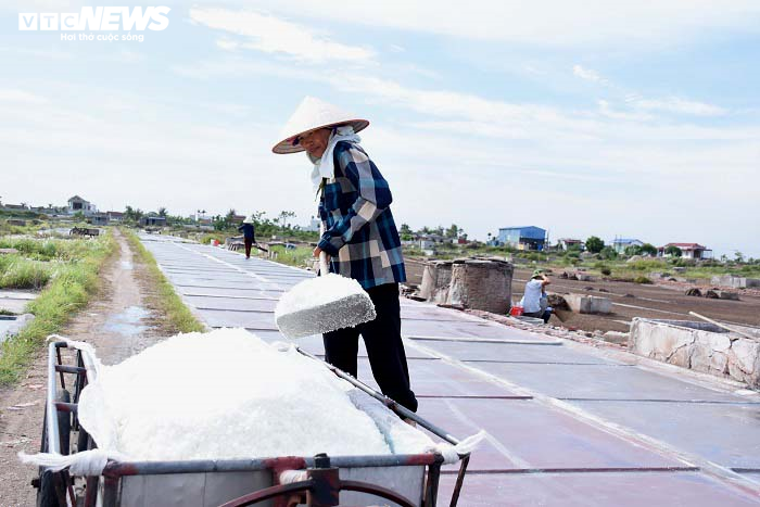 Ảnh: Nhọc nhằn nghề làm muối của diêm dân Thái Bình dưới nắng nóng 40 độ C - 1