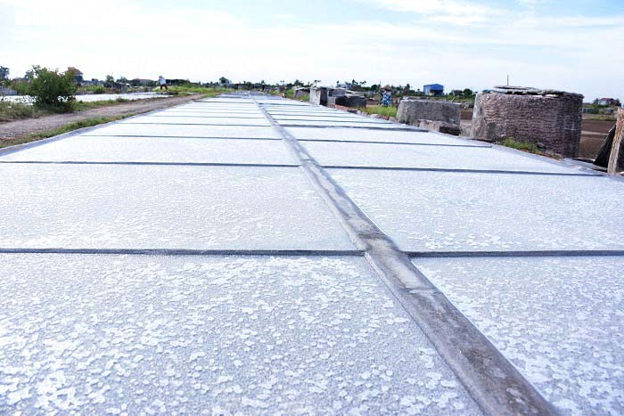 Ảnh: Nhọc nhằn nghề làm muối của diêm dân Thái Bình dưới nắng nóng 40 độ C - 3