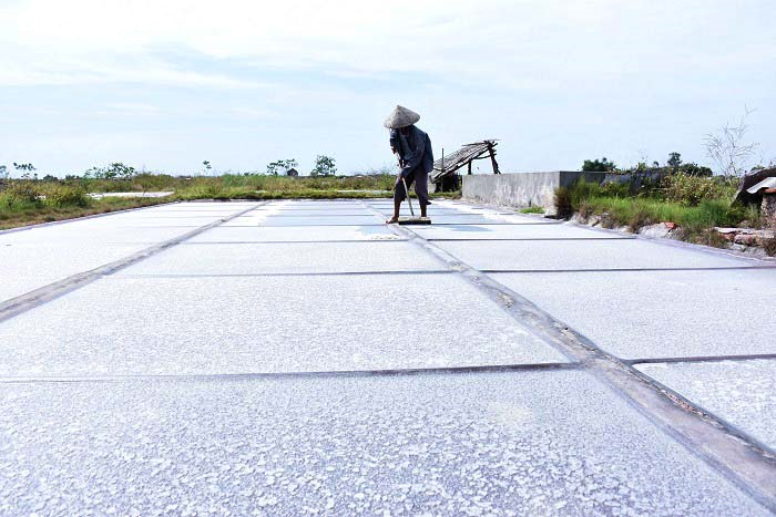 Ảnh: Nhọc nhằn nghề làm muối của diêm dân Thái Bình dưới nắng nóng 40 độ C - 2