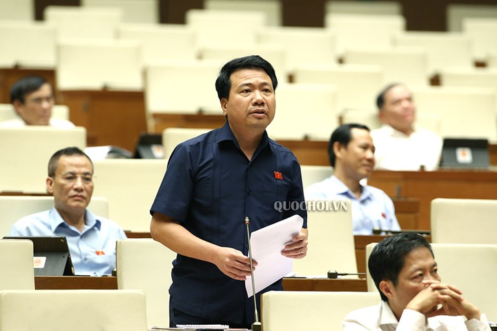 Đại biểu Quốc hội xếp vào hàng gì trong hệ thống cán bộ? - 2