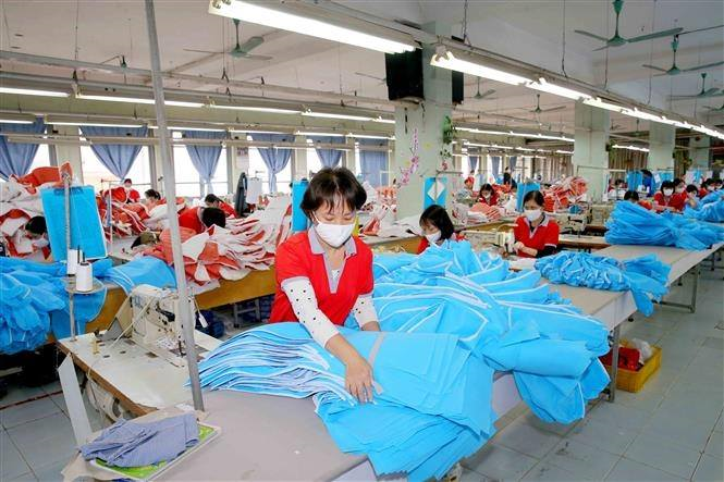 Giãn thuế giúp DN hồi sinh sau COVID-19: Doanh nghiệp lớn cần thuốc đặc hiệu - 3