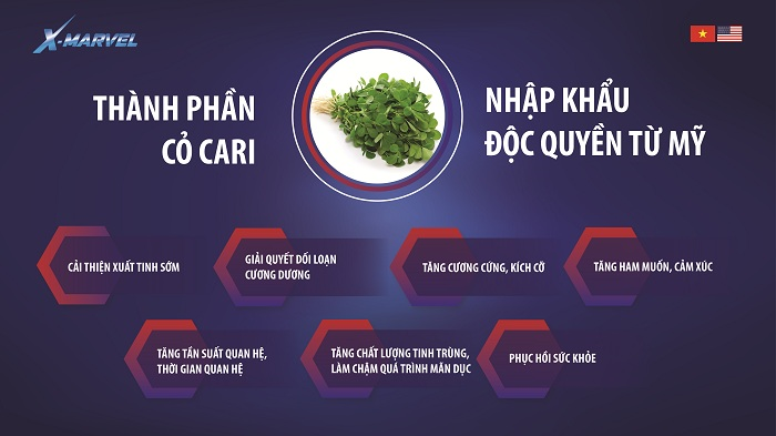 Cỏ cari – Thảo dược quý chữa bách bệnh về yếu sinh lý - 2