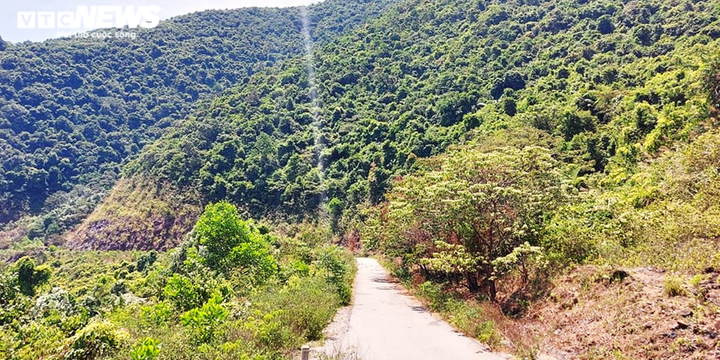 Nếu thoát khỏi Hải Vân, tên giết người Triệu Quân Sự đi theo hướng nào? - 3