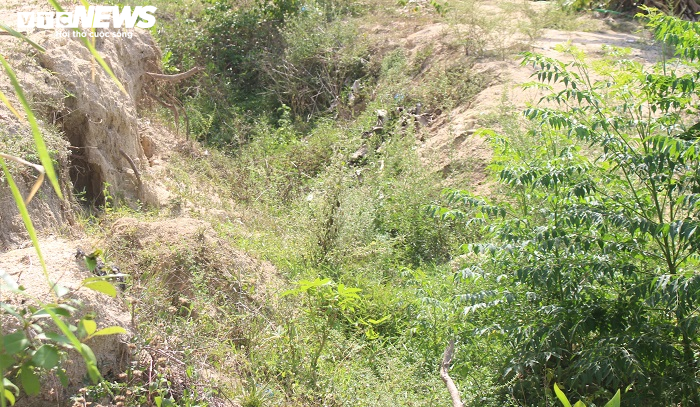 Trạm bơm tiền tỷ hơn 3 năm chưa xong, nông dân khóc ròng vì ruộng bỏ hoang - 2