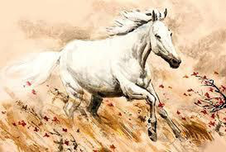 Tử vi 12 con giáp ngày 7/7: Tuổi Dậu có cơ hội kiếm tiền - 1