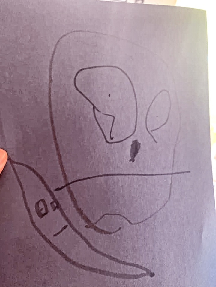 Cười đau bụng với loạt tranh trẻ nhỏ vẽ bố mẹ và vạn vật - 8