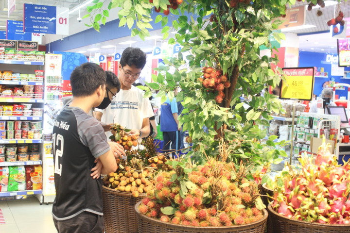 Saigon Co.op nỗ lực bao tiêu nông sản các tỉnh phía Bắc - 2