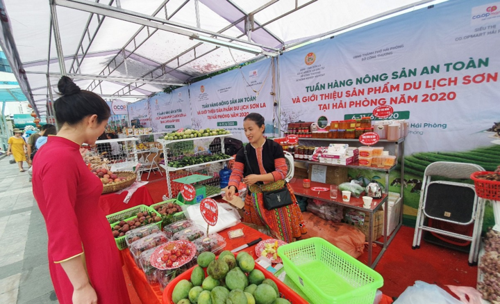 Saigon Co.op nỗ lực bao tiêu nông sản các tỉnh phía Bắc - 3