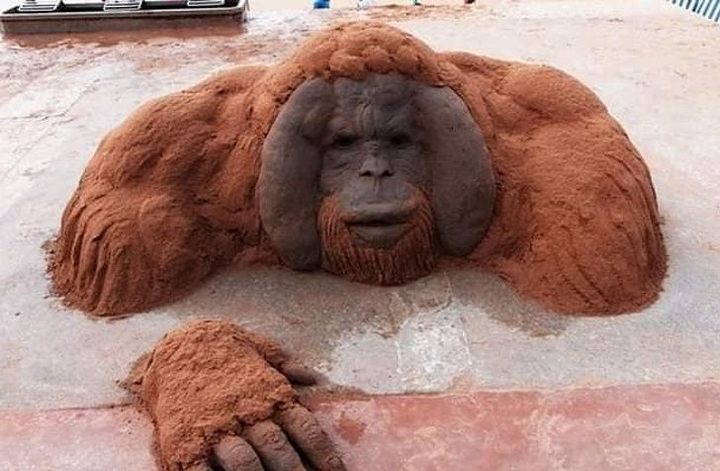 Khó tin những con vật khổng lồ sống động này lại chỉ là... cát - 3