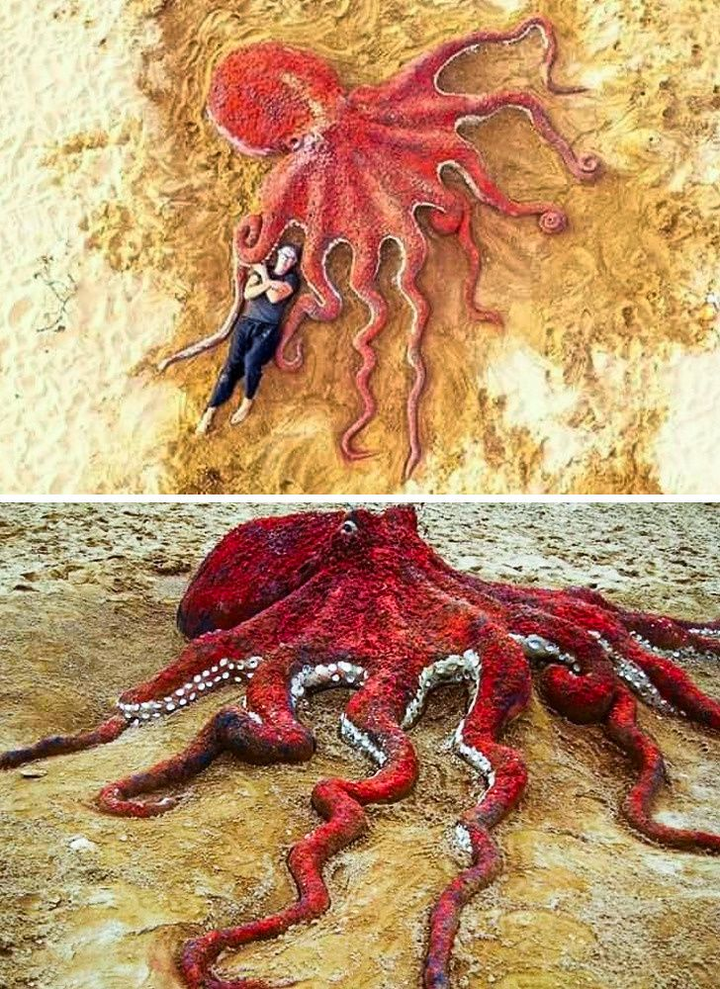 Khó tin những con vật khổng lồ sống động này lại chỉ là... cát - 4