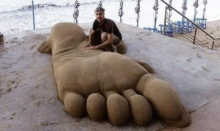 Khó tin những con vật khổng lồ sống động này lại chỉ là... cát - 5