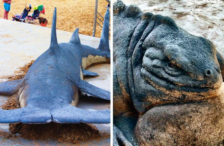 Khó tin những con vật khổng lồ sống động này lại chỉ là... cát - 6