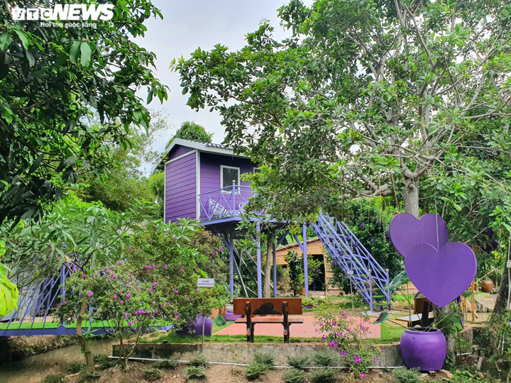 Căn nhà toàn màu tím giữa miền Tây đốn tim du khách - 1