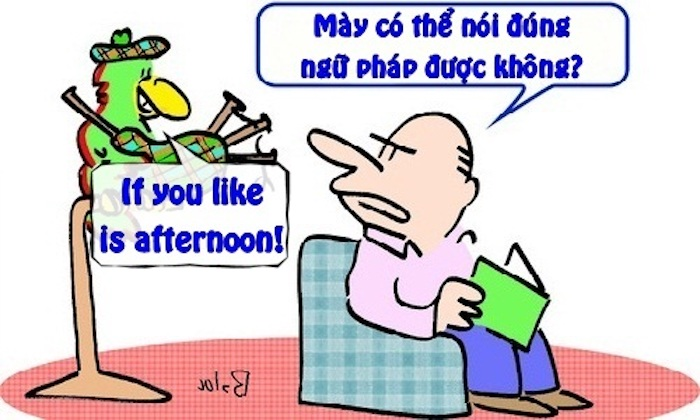 Khi giáo sư tiếng Anh nuôi vẹt - 1