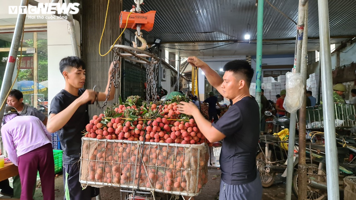 Nông dân Bắc Giang soi đèn thâu đêm thu hoạch vải thiều - 13