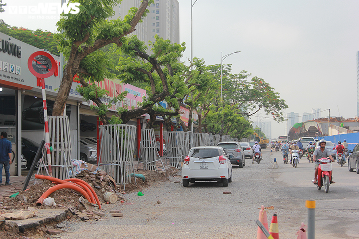 Những khung sắt bảo vệ hàng sưa đỏ trên phố Nguyễn Văn Huyên có gì đặc biệt? - 1