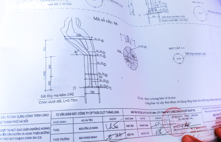 Những khung sắt bảo vệ hàng sưa đỏ trên phố Nguyễn Văn Huyên có gì đặc biệt? - 4