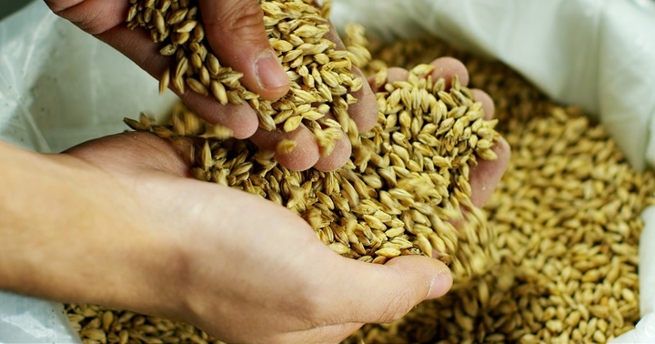 Hành trình tạo ra vị bia kết nối ba miền của chuyên gia nấu Bia Việt - 3