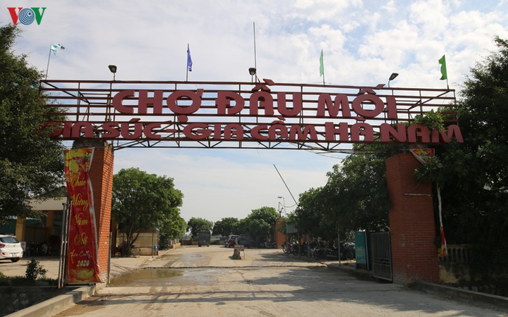 Cận cảnh chợ lợn lớn nhất miền Bắc đìu hiu, ế ẩm khi giá tăng 'sốc' - 1