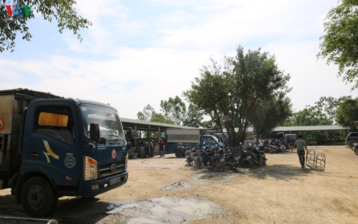 Cận cảnh chợ lợn lớn nhất miền Bắc đìu hiu, ế ẩm khi giá tăng 'sốc' - 13