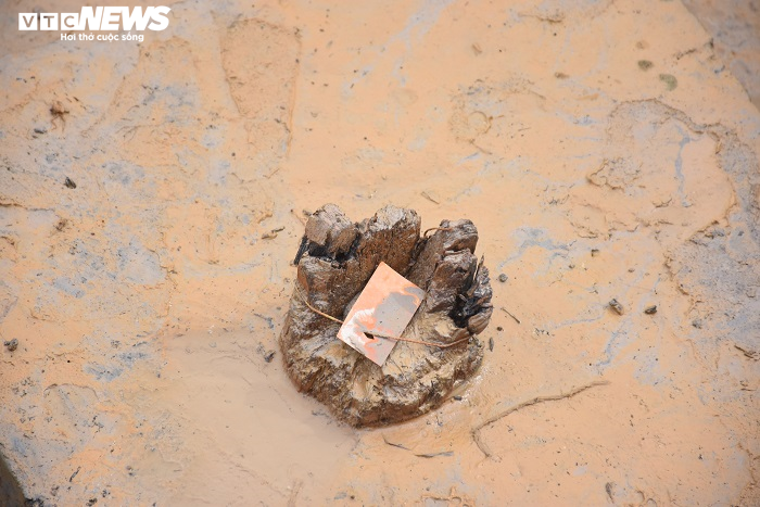 Cận cảnh bãi cọc vừa phát lộ nghi liên quan đến trận chiến Bạch Đằng năm 1288 - 6