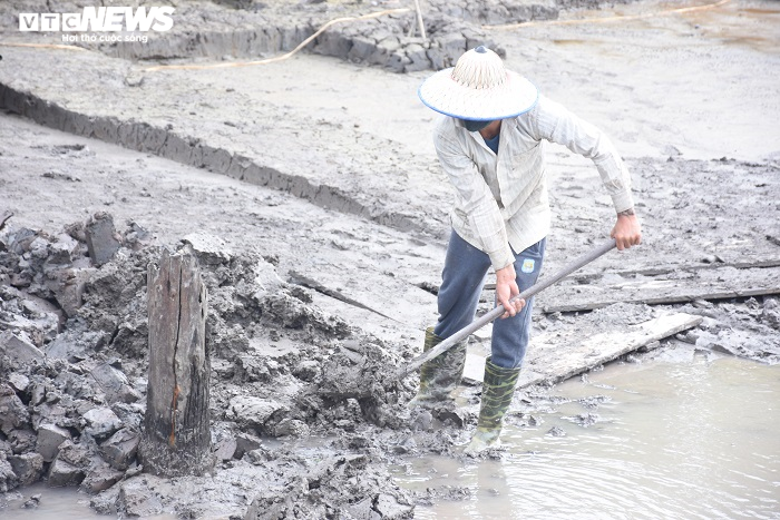 Cận cảnh bãi cọc vừa phát lộ nghi liên quan đến trận chiến Bạch Đằng năm 1288 - 12