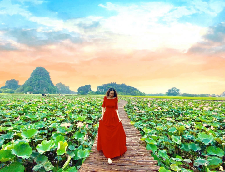 Đầm sen ở Hang Múa nở rộ, thiếu nữ đua nhau thả dáng - 3