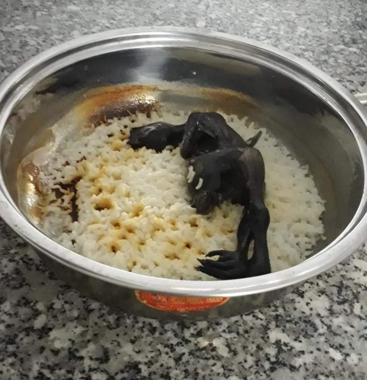 Thảm họa nấu ăn: Món cháo gà mắc cạn - 2