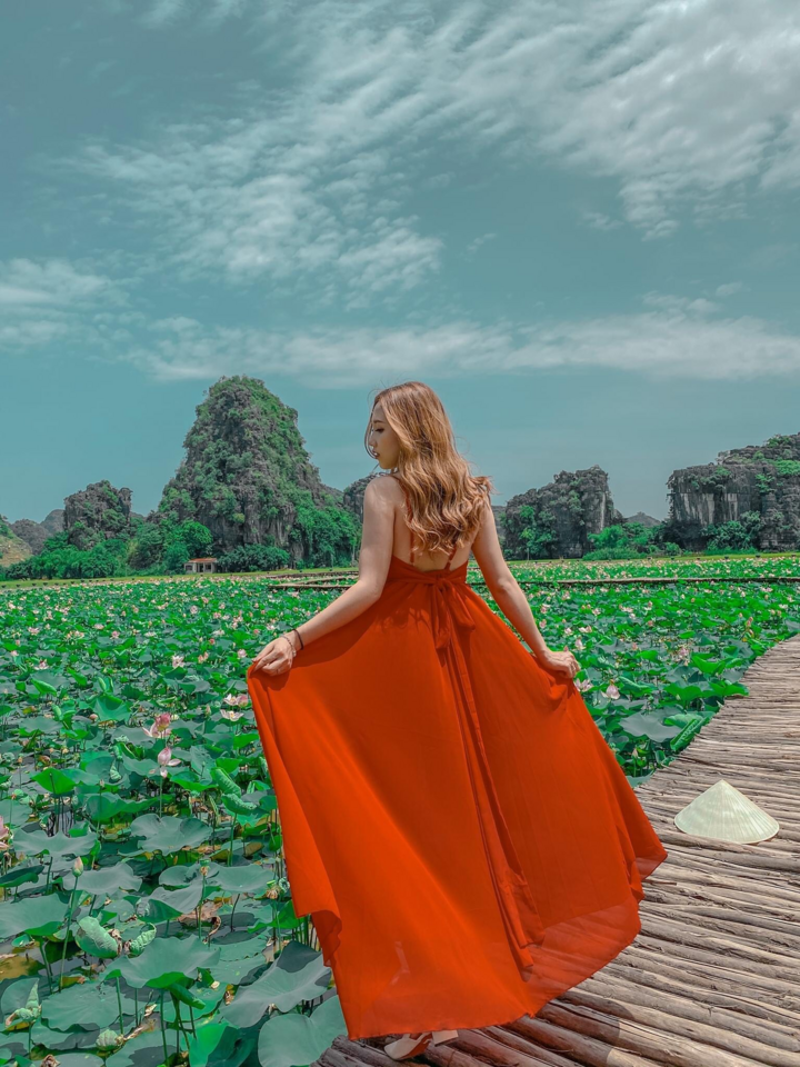 Đầm sen ở Hang Múa nở rộ, thiếu nữ đua nhau thả dáng - 4