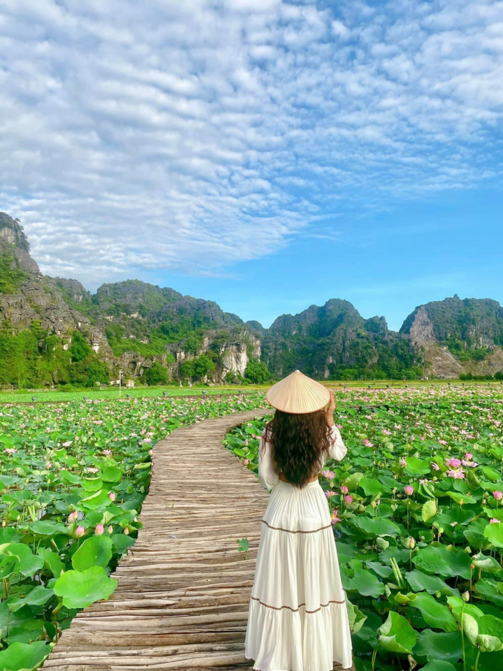 Đầm sen ở Hang Múa nở rộ, thiếu nữ đua nhau thả dáng - 5