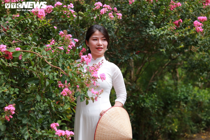 Ảnh: Con đường rực rỡ hoa tường vi như vườn cổ tích ở Hà Nội - 10