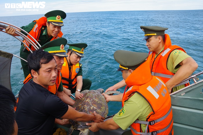 Bộ đội Biên phòng Hà Tĩnh thả con đồi mồi quý hiếm về biển - 1