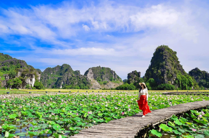 Đầm sen ở Hang Múa nở rộ, thiếu nữ đua nhau thả dáng - 1