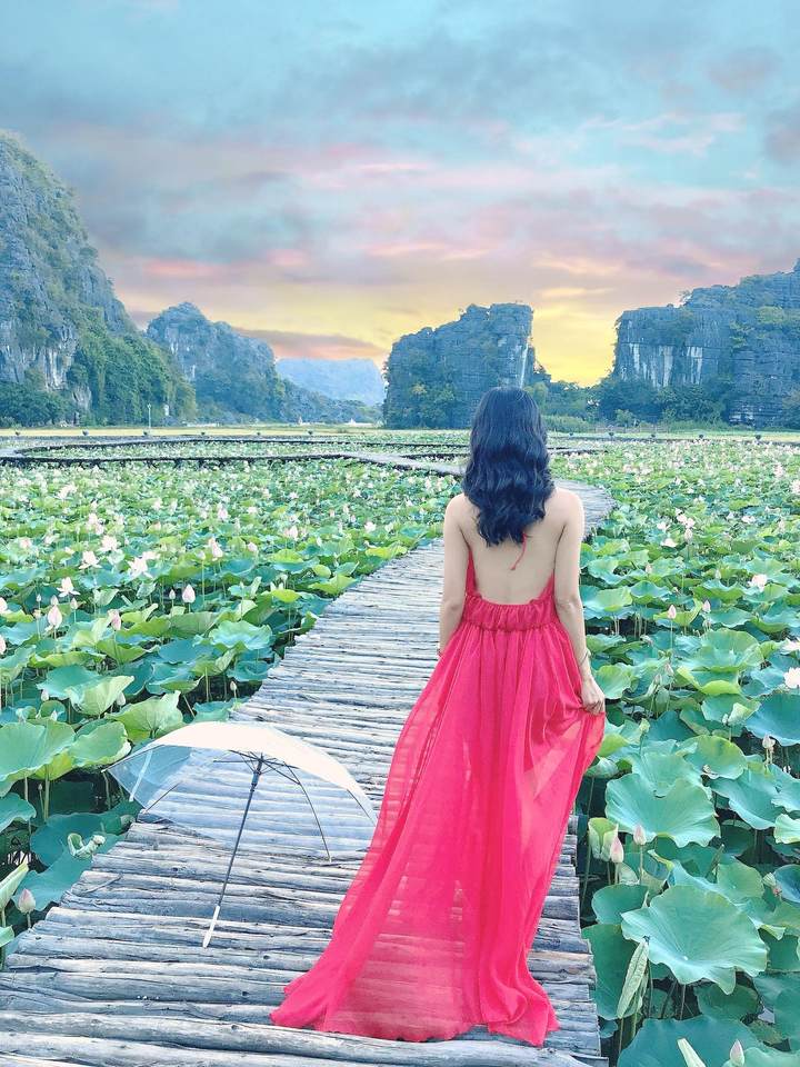 Đầm sen ở Hang Múa nở rộ, thiếu nữ đua nhau thả dáng - 8