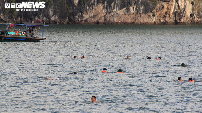 Hàng trăm dân Hạ Long đua nhau tắm ở khu vực cấm, thản nhiên giỡn mặt 'hà bá' - 10