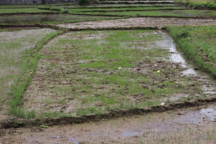 Thảm án ở Điện Biên: Bị đòi nợ, giết vợ chồng chủ nợ rồi tự sát - 3