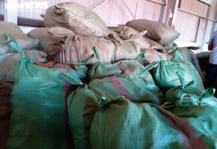 Hơn 100 tấn thảo dược đội lốt củ cải, cà rốt nhập lậu từ Trung Quốc về Đà Nẵng - 2