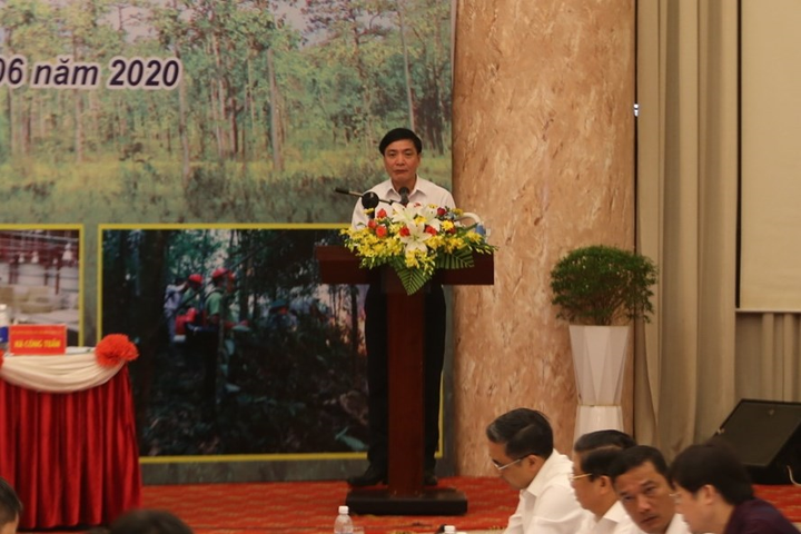 Đắk Lắk đề nghị tăng cường chế tài xử lý chủ rừng để mất rừng - 2