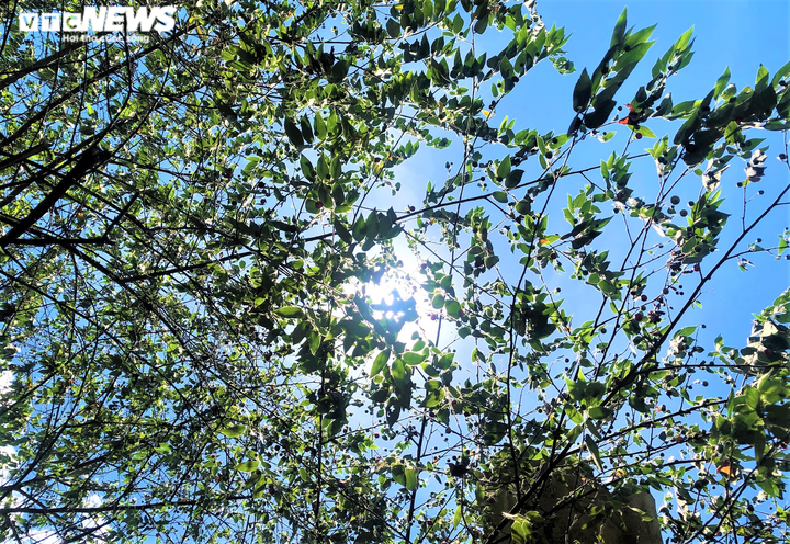 Không chịu nổi nắng khủng khiếp 50 độ C, dân nghèo Hà Nội bỏ nhà đi trốn nóng - 1