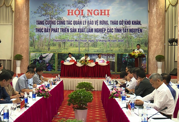 Đắk Lắk đề nghị tăng cường chế tài xử lý chủ rừng để mất rừng - 1