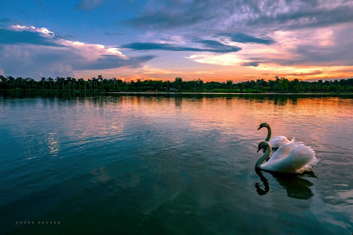 Khu đô thị có thiết kế cảnh quan đẹp nhất thế giới ở phía Đông Hà Nội - 8