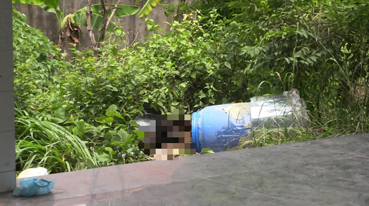 Xử vụ 2 thi thể bị đổ bê tông: Người mẹ nói con không giết người - 2