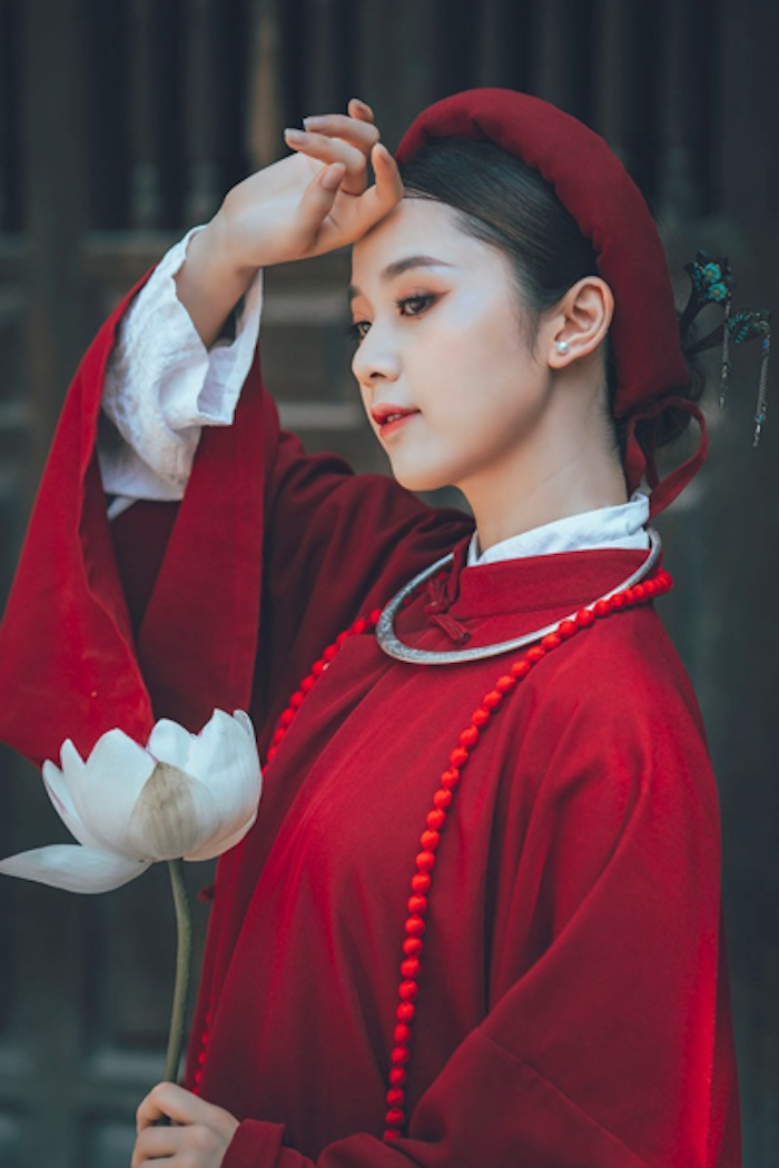 Hoa khôi Tài sắc Việt Nam đẹp 'hút hồn' với áo dài cổ phục - 5