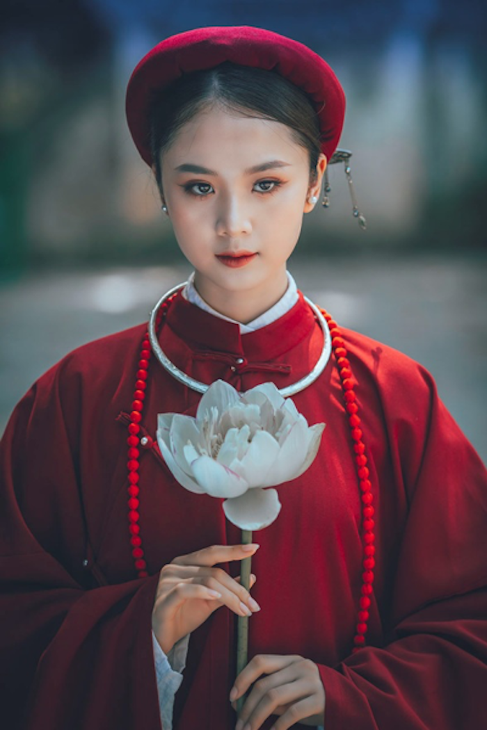 Hoa khôi Tài sắc Việt Nam đẹp 'hút hồn' với áo dài cổ phục - 6