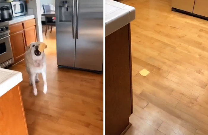 Rớt nước mắt với trào lưu TikTok tưởng niệm người thân yêu - 11