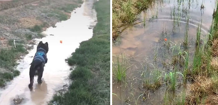 Rớt nước mắt với trào lưu TikTok tưởng niệm người thân yêu - 12